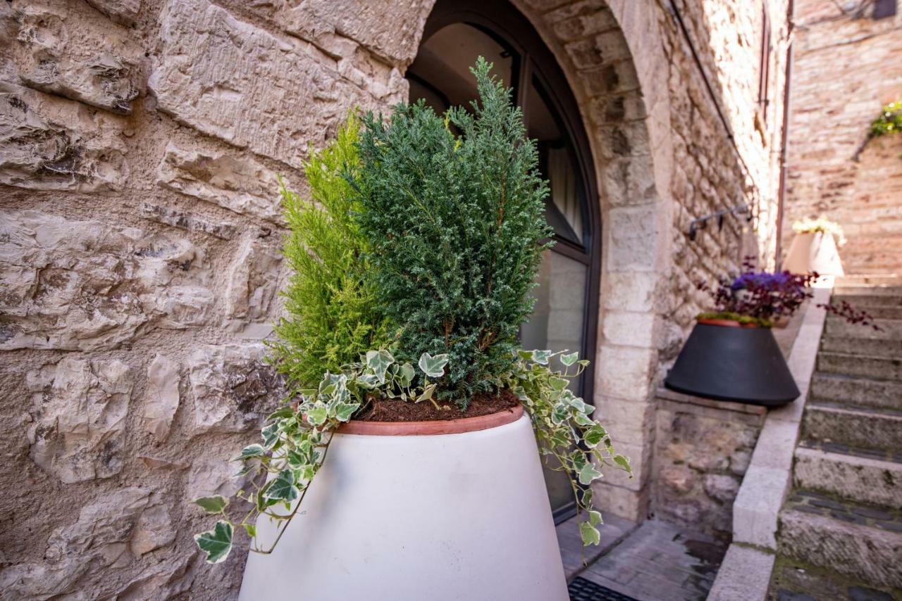Perfetta Letizia Casa Vacanza Assisi Exterior photo
